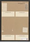 Amphora ostrearia var. quadrata (Breb.) Rabh. (de-Toni-Nr.: Genus 36, Species 1504) Zeichnungen Sammlung Grunow Nr. 2915 (NHMW-BOT-W0370255)